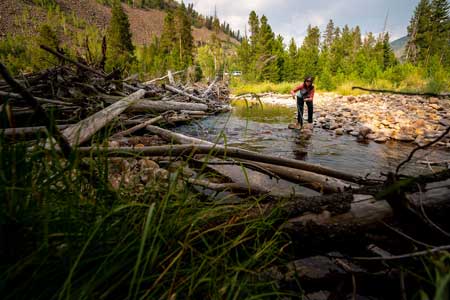 Fishwest employee Brooke Harris works some pocket water on the Upper Provo River.