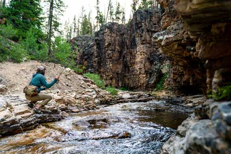 An angler casts upstream on the Upper Provo River while dry fly fishing.