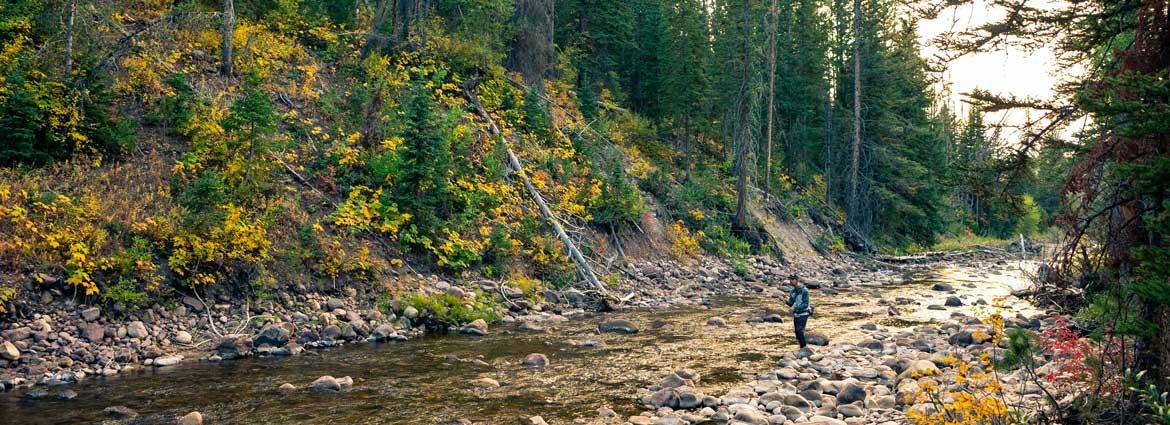 An angler fishing one of the many streams in the Uinta National forest during a beautiful fall evening. Photo courtesy of Ross Downard.