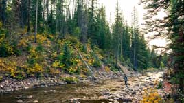An angler fishing one of the many streams in the Uinta National forest during a beautiful fall evening. Photo courtesy of Ross Downard.