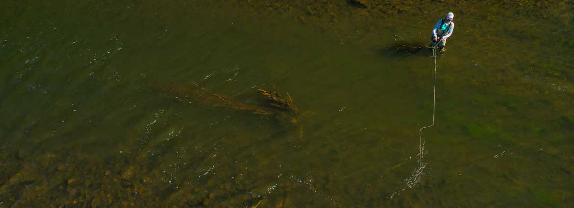 An angler casts to the far bank on the Lower Provo River on a spring day.