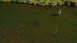 An angler casts to the far bank on the Lower Provo River on a spring day.