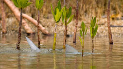 Fishwest's Andros South Bonefish Lodge Fly Fishing Trip