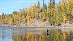 Fishwest's Bulkley River Lodge Fly Fishing Trip