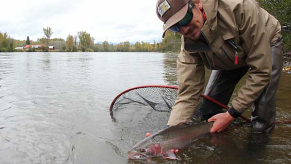 Bulkley River Lodge